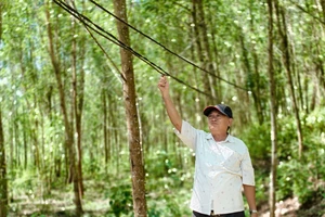 Hơn 30 hộ dân ở Quảng Ngãi 4 năm mỏi mòn chờ... điện sáng