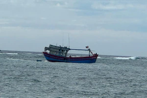 Tàu cá mắc cạn gần đảo Lý Sơn