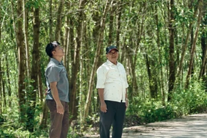 30 hộ dân ở Quảng Ngãi đã có đủ điện sinh hoạt sau phản ánh của Pháp Luật TP.HCM