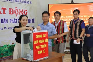 Vườn sâm Ngọc Linh bị bão tàn phá, bà con góp từng hạt sâm để khôi phục