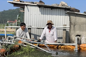 Xây nhà máy lọc nước 250 tỉ đồng để đặc khu Lý Sơn hết khát