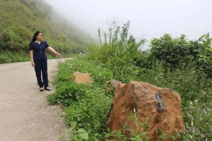 Đi tỉnh lộ ở Quảng Ngãi, thấp thỏm đá tảng rơi xuống đầu