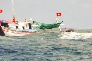 Tàu cá Quảng Ngãi gặp nạn khi tránh bão số 12