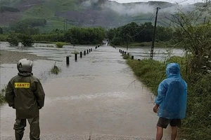 Quảng Ngãi mưa lớn trên 800 mm, sạt lở, cô lập nhiều khu dân cư