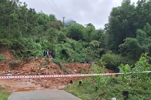 52 hộ dân ở Quảng Ngãi bị cô lập do sạt lở lấp đường đi