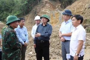 Phó Thủ tướng Hồ Quốc Dũng: Khẩn trương cứu trợ, sớm khắc phục sạt lở ở Quảng Ngãi