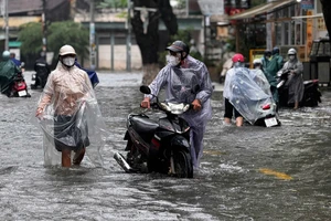Mưa trắng trời, trung tâm Quảng Ngãi chìm sâu trong nước