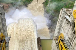 Quảng Ngãi yêu cầu thủy điện điều tiết sớm, tránh đồng loạt xả lũ