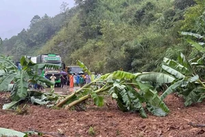 Hơn 450 điểm sạt lở bủa vây hạ tầng giao thông Quảng Ngãi