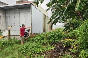 Vụ trúng đấu giá lô đất ảo ở Quảng Ngãi: Khổ chủ kể tỉ mỉ chuyện hy hữu