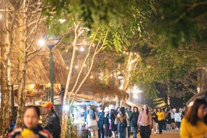 Du lịch Quảng Ngãi bứt tốc sau sáp nhập: 5,2 triệu lượt khách, thu 3.700 tỉ đồng