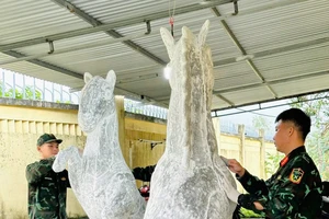 Hé lộ linh vật Ngựa Tết 2026 tại Quảng Ngãi