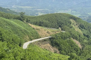 Sắp khởi công cao tốc Quảng Ngãi - Kon Tum 