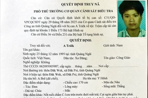 Truy nã thanh niên trộm 3 con bò rồi bỏ trốn 