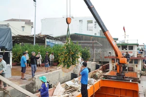 Tấp nập chở hàng, hoa Tết từ đất liền ra đảo Lý Sơn