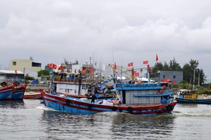 Nhiều ngư dân Quảng Ngãi ra khơi xuyên Tết 