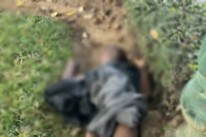 Phát hiện thi thể tại công viên ở Quảng Ngãi