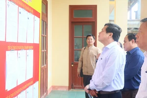 Đảo tiền tiêu Lý Sơn sẵn sàng cho ngày bầu cử