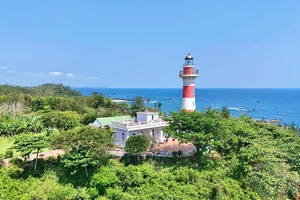 Ngắm ngọn hải đăng trên vách đá trầm tích núi lửa ở Quảng Ngãi