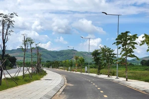 Từ TP.HCM ra Quảng Ngãi đấu giá đất, 'thổi' giá gấp 8 lần, trúng 16 lô rồi bỏ cọc