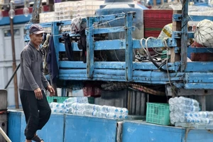 Liên kết tổ đội đánh bắt trên biển, ngư dân Quảng Ngãi trúng đậm