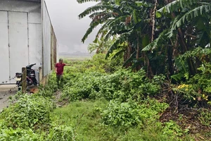 Công an phát hiện loạt bất thường trong vụ trúng đấu giá đất ảo ở Quảng Ngãi
