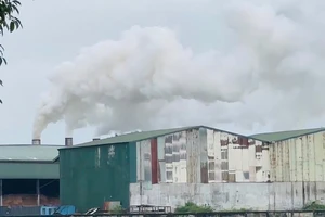 Người dân phản ánh ô nhiễm từ nhà máy viên nén gỗ, yêu cầu quan trắc môi trường