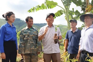 Từ 'Đại hội không hoa' đến triệu cây cà phê: Cách làm mới ở xã vùng cao Tu Mơ Rông