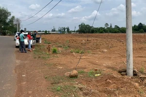 8 điều kiện tách thửa đất theo Luật Đất đai 2024