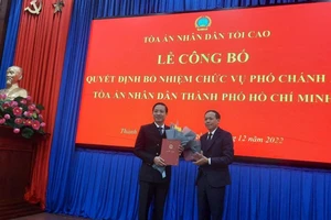 TAND TP.HCM có phó chánh án mới
