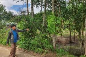 Chi cục phó thi hành án làm sai khi bán đấu giá tài sản