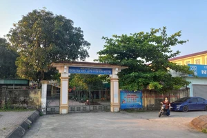 Vụ cô giáo Dung: Liên đoàn Luật sư lên tiếng việc 2 luật sư bị buộc rời phòng xử