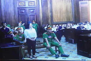 Bà Nguyễn Phương Hằng: 'Hành vi của bị cáo là sai nhưng sai trong trạng thái bị kích động'