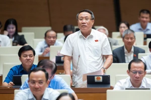 'Nhiều nhà đầu tư phải cố vẽ dự án cho dính 1 mét vuông đất ở'