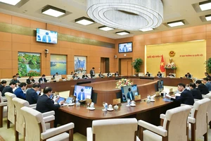 Thống nhất 1 phương án cấp sổ hồng cho đất không giấy tờ