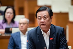 Ngư dân đang ngụp lặn với đống nợ khi vay đóng tàu theo Nghị định 67