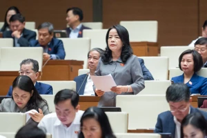 Đại biểu hỏi Chánh án TAND Tối cao Nguyễn Hoà Bình việc xác định thiệt hại trong vụ Vũ 'nhôm'