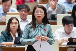 Đại biểu Quốc hội đề nghị giảm tuổi nghỉ hưu với giáo viên mầm non