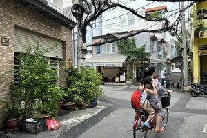 Đặt chậu cây cảnh trước cửa nhà có bị xử phạt không?