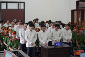 Nhiều cựu cán bộ, công an xã trong đường dây làm giả tài liệu cấp cà vẹt xe lãnh án