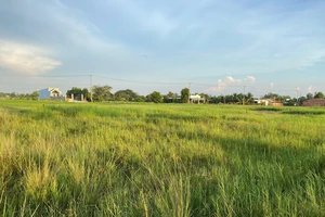 Rút kinh nghiệm vụ án tranh chấp di sản thừa kế và yêu cầu huỷ sổ hồng