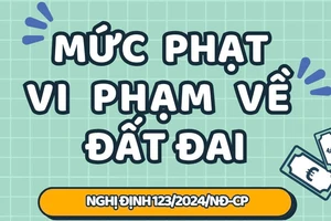 Infographic: Mức phạt các lỗi vi phạm đất đai thường gặp (mới nhất)