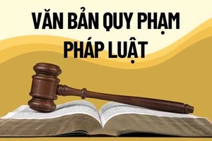 Đề xuất "thủ tục đặc biệt" khi ban hành văn bản quy phạm pháp luật 
