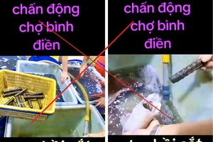 Sự thật về clip 'mực nhồi sắt' tại chợ Bình Điền 