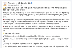 Đăng tin sai sự thật liên quan hóa đơn tiền điện trên mạng xã hội, bị xử lý ra sao?