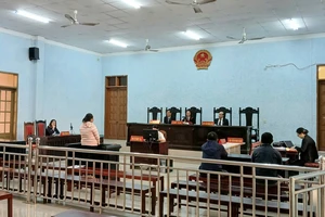 Lén trộm lại xe sau khi thế chấp, người phụ nữ bị phạt 12 năm tù 