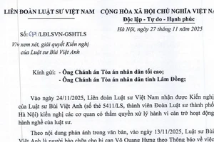 Liên đoàn Luật sư lên tiếng vụ 'tòa ra văn bản không cho luật sư gặp bị cáo đang bị tạm giam' 