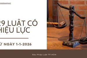 Infographic: Từ 1-1-2026, 29 luật chính thức đi vào cuộc sống