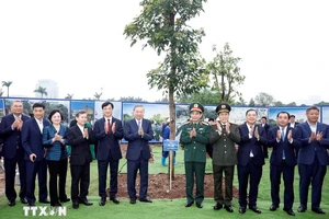 Tổng Bí thư Tô Lâm: Hà Nội phải là 'Thành phố trong rừng, rừng trong Thành phố'