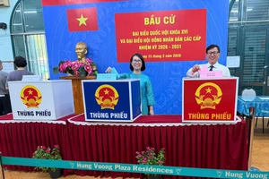 Kiều bào tự hào khi được hòa mình vào ngày hội non sông 